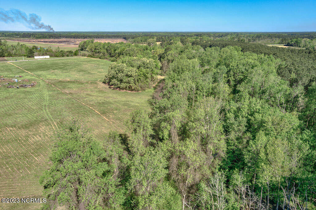 0 Pine Ridge Road Faison, NC 28341 - Photo 19 of 27 19