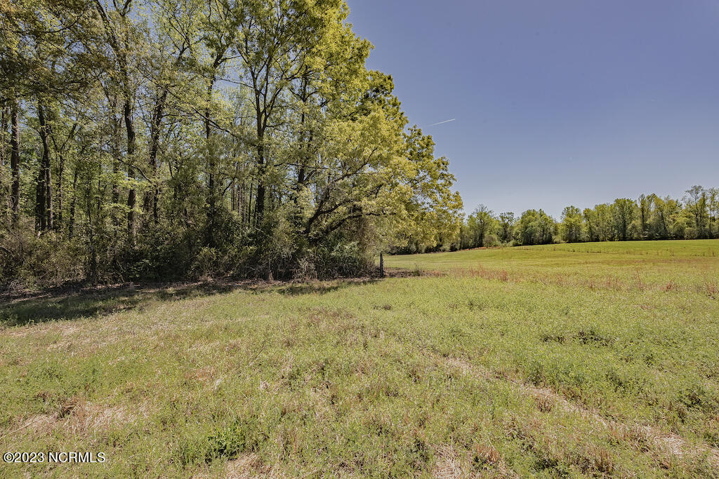 0 Pine Ridge Road Faison, NC 28341 - Photo 21 of 27 21