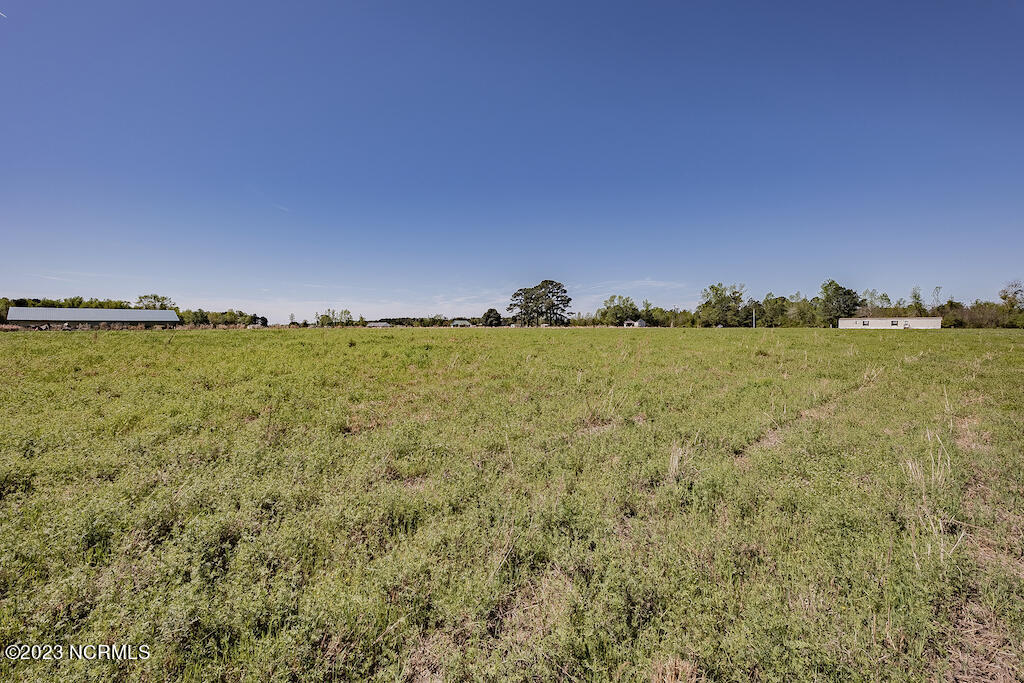 0 Pine Ridge Road Faison, NC 28341 - Photo 23 of 27 23