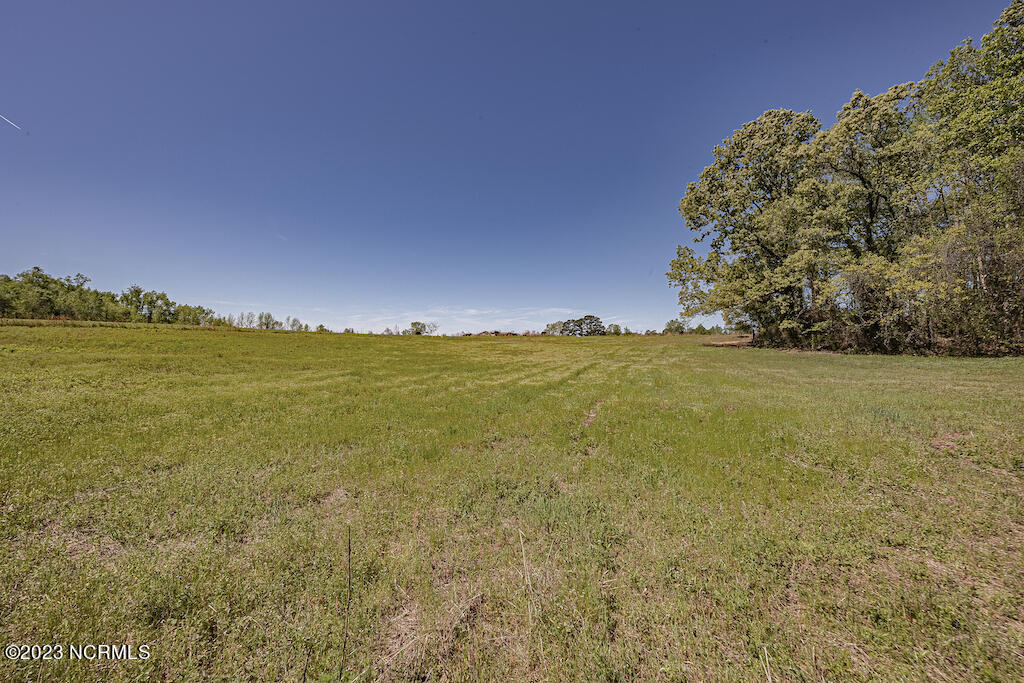 0 Pine Ridge Road Faison, NC 28341 - Photo 24 of 27 24