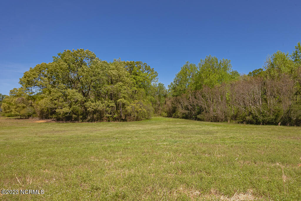 0 Pine Ridge Road Faison, NC 28341 - Photo 25 of 27 25