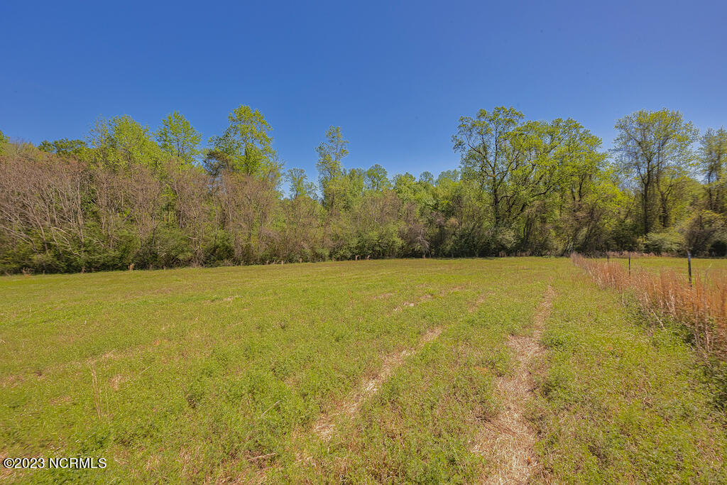 0 Pine Ridge Road Faison, NC 28341 - Photo 26 of 27 26