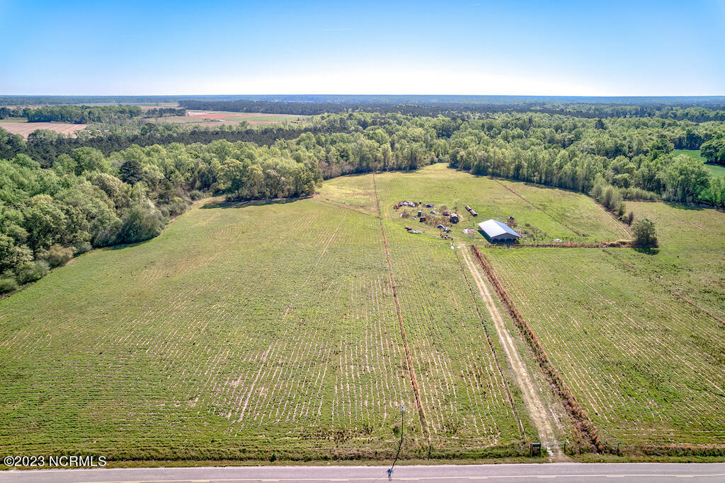 0 Pine Ridge Road Faison, NC 28341 - Photo 4 of 27 4