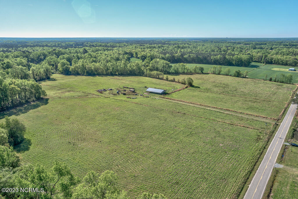 0 Pine Ridge Road Faison, NC 28341 - Photo 7 of 27 7