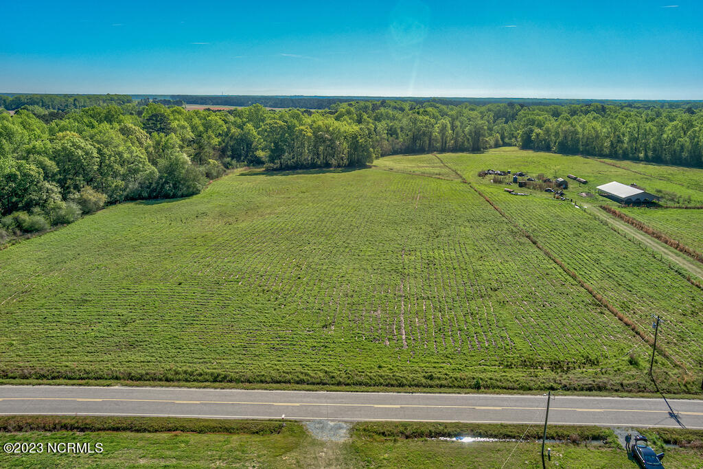 0 Pine Ridge Road Faison, NC 28341 - Photo 8 of 27 8