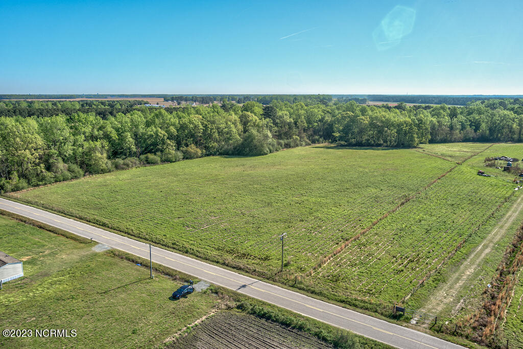 0 Pine Ridge Road Faison, NC 28341 - Photo 9 of 27 9