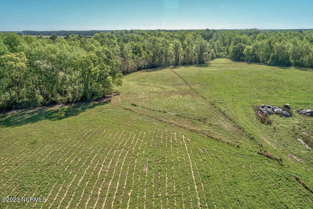 0 Pine Ridge Road Faison, NC 28341 - Photo 10 of 27 10