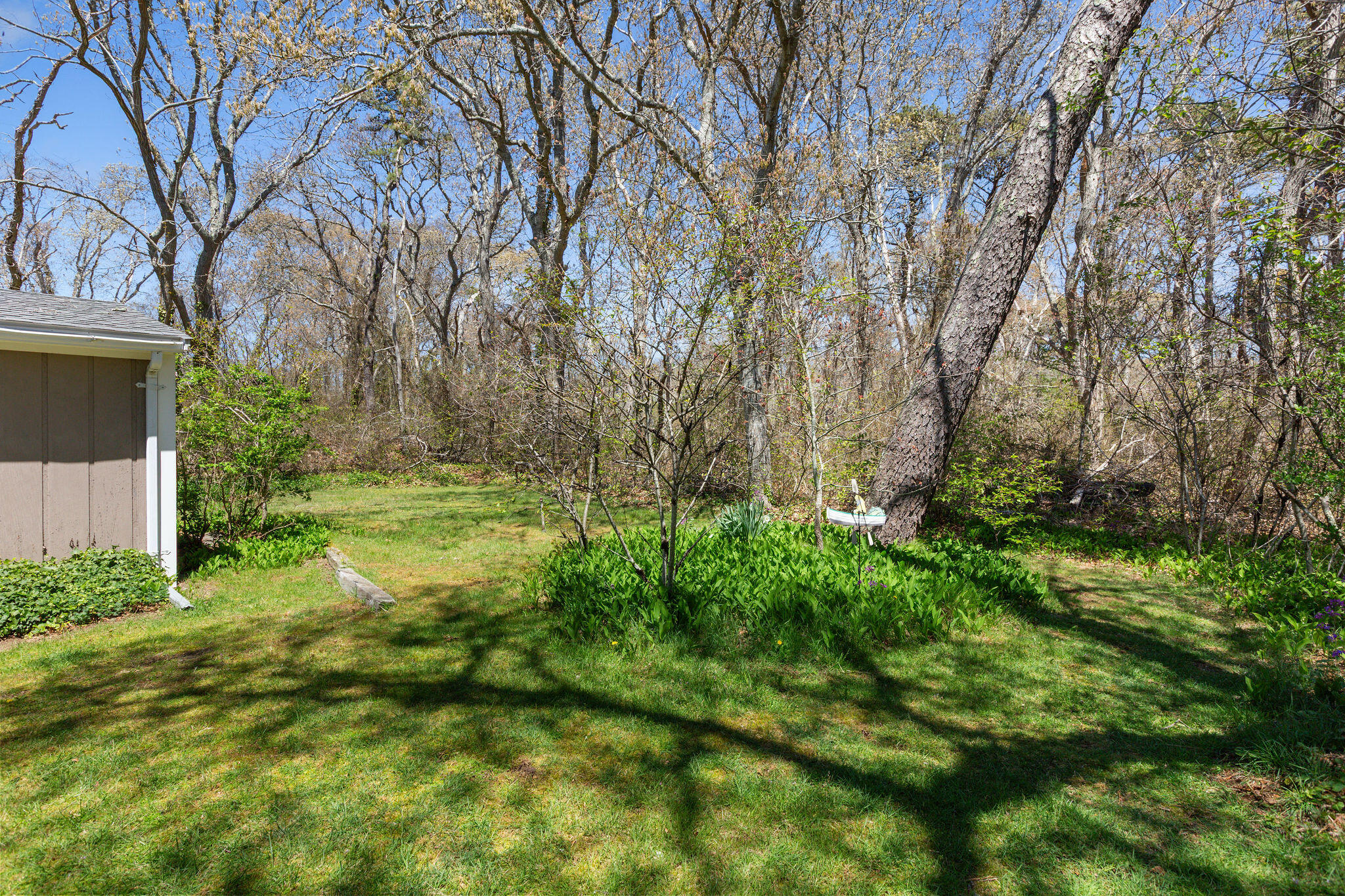 1230 Massasoit Road Eastham, MA 02642 - Photo 37 of 39 1230MassasoitRd-38