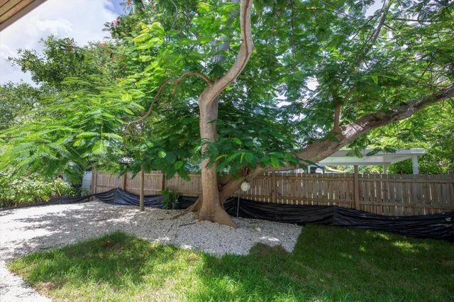 a backyard of a house with lots of green space