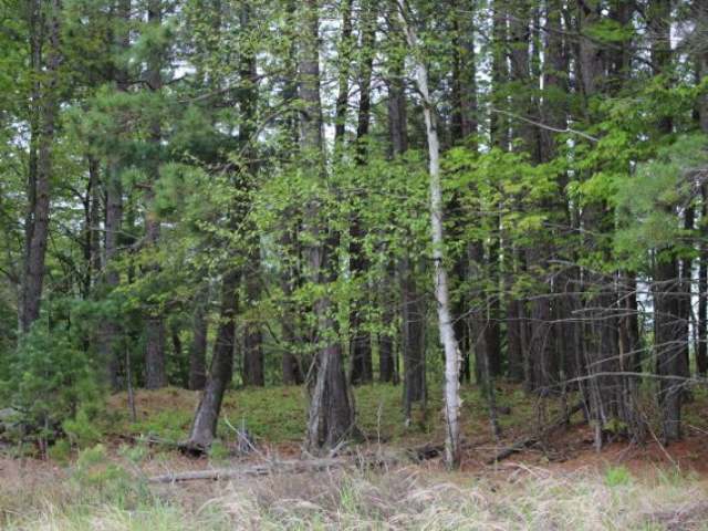 Near Loon Lake Road Eagle River, WI 54521 - Photo 4 of 13 Gallery Image 4