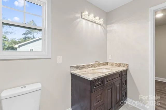 a bathroom with a sink a vanity and a toilet