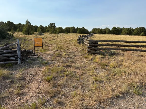 $450,000 | Tbd Ponderosa Drive, Ridgway, CO 81432
