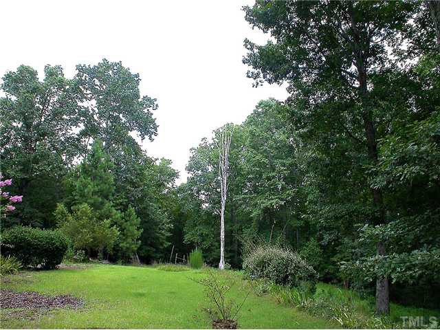 5548 Old Still Road Wake Forest, NC 27587 - Photo 19 of 20 Back Yard