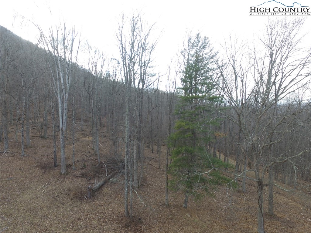 Mcneill Road Lansing, NC 28643 - Photo 14 of 18