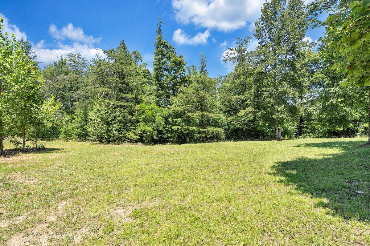 94 Bryants Lake Road Bassett, VA 24055 - Photo 35 of 46 MIB02275 (1)
