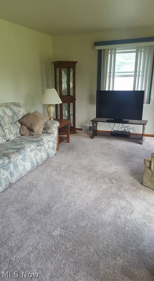 4781 Warren - Sharon Road Vienna, OH 44473 - Photo 5 of 13 Gallery Image 5
