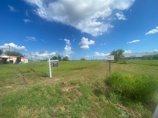 14411 Austin Bayou Drive Rosharon, TX 77583 - Photo 14 of 15 a backyard of a house with lots of green space