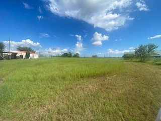 14411 Austin Bayou Drive Rosharon, TX 77583 - Photo 15 of 15 a view of an ocean and a yard