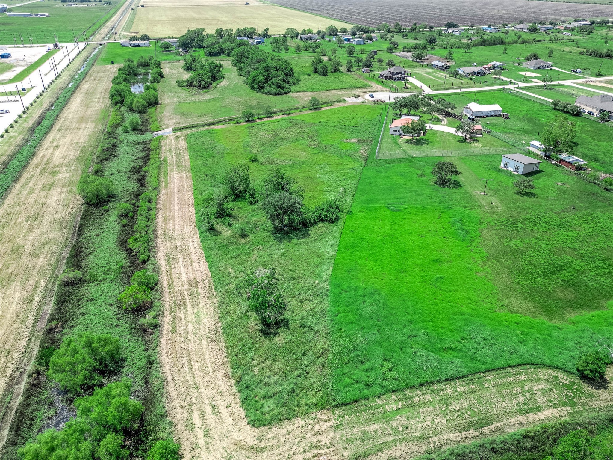 14411 Austin Bayou Drive Rosharon, TX 77583 - Photo 10 of 15 a view of a green yard with large trees