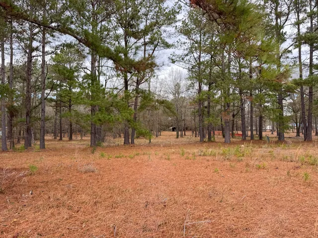 $49,900 | 0 Lake Marion Shores Road, Summerton, SC 29148