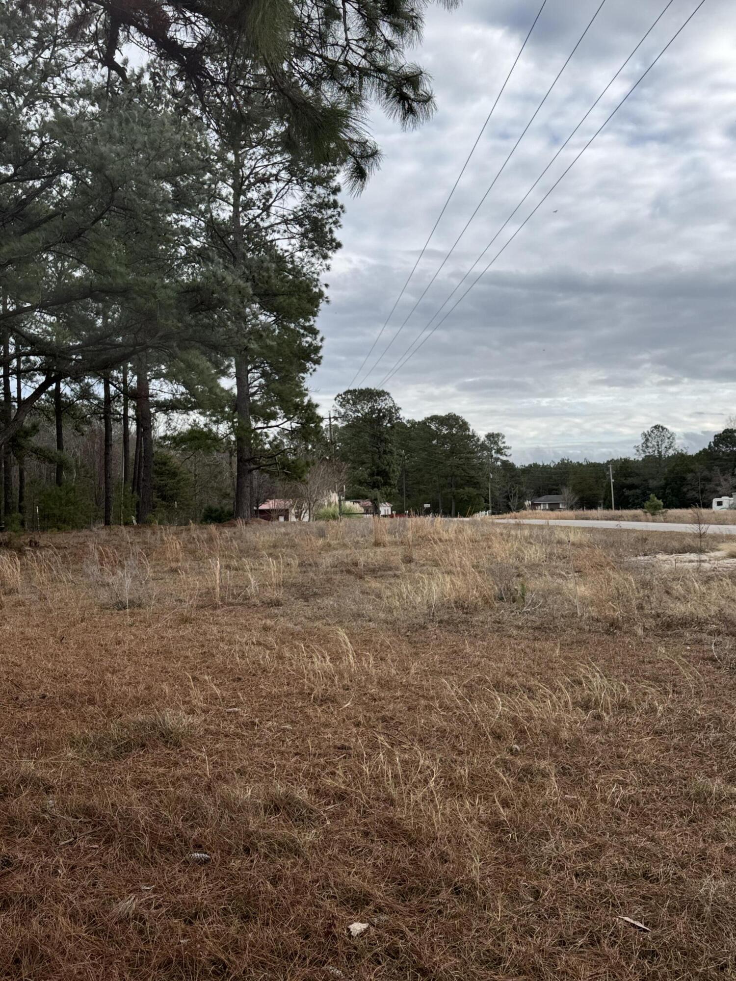 0 Lake Marion Shores Road Summerton, SC 29148 - Photo 11 of 12 IMG_8292