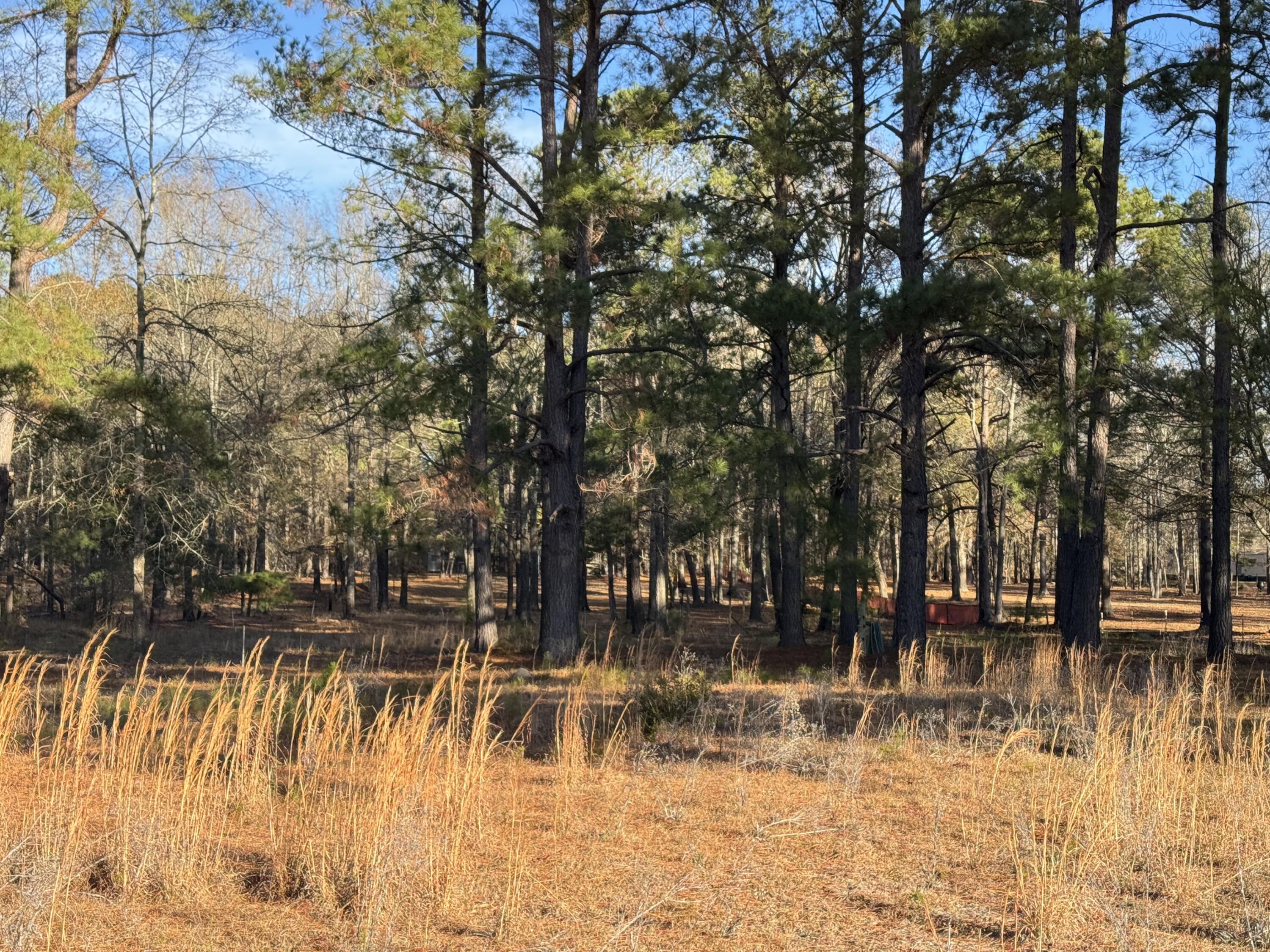 0 Lake Marion Shores Road Summerton, SC 29148 - Photo 3 of 12 IMG_8318