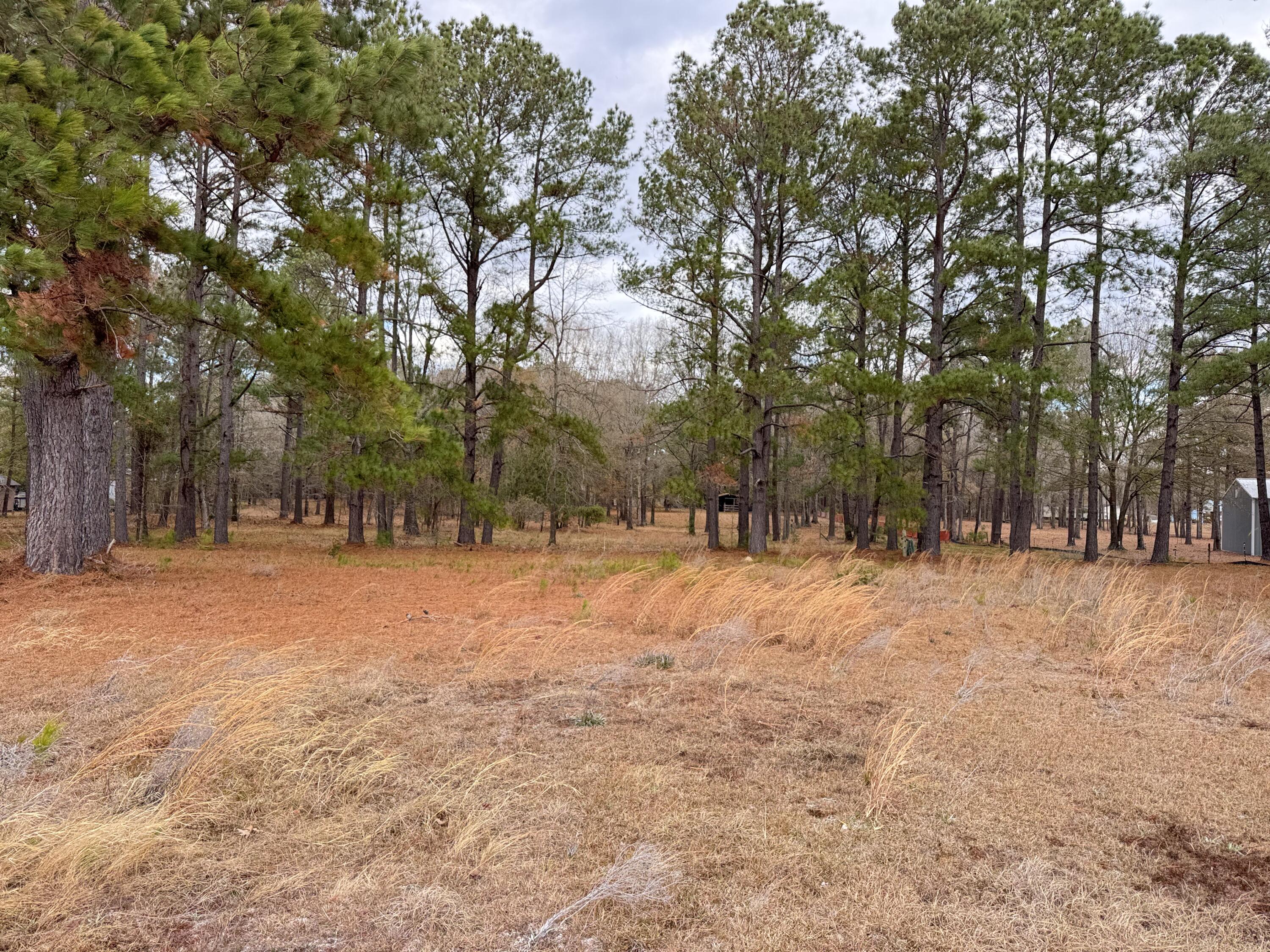 0 Lake Marion Shores Road Summerton, SC 29148 - Photo 4 of 12 IMG_8284