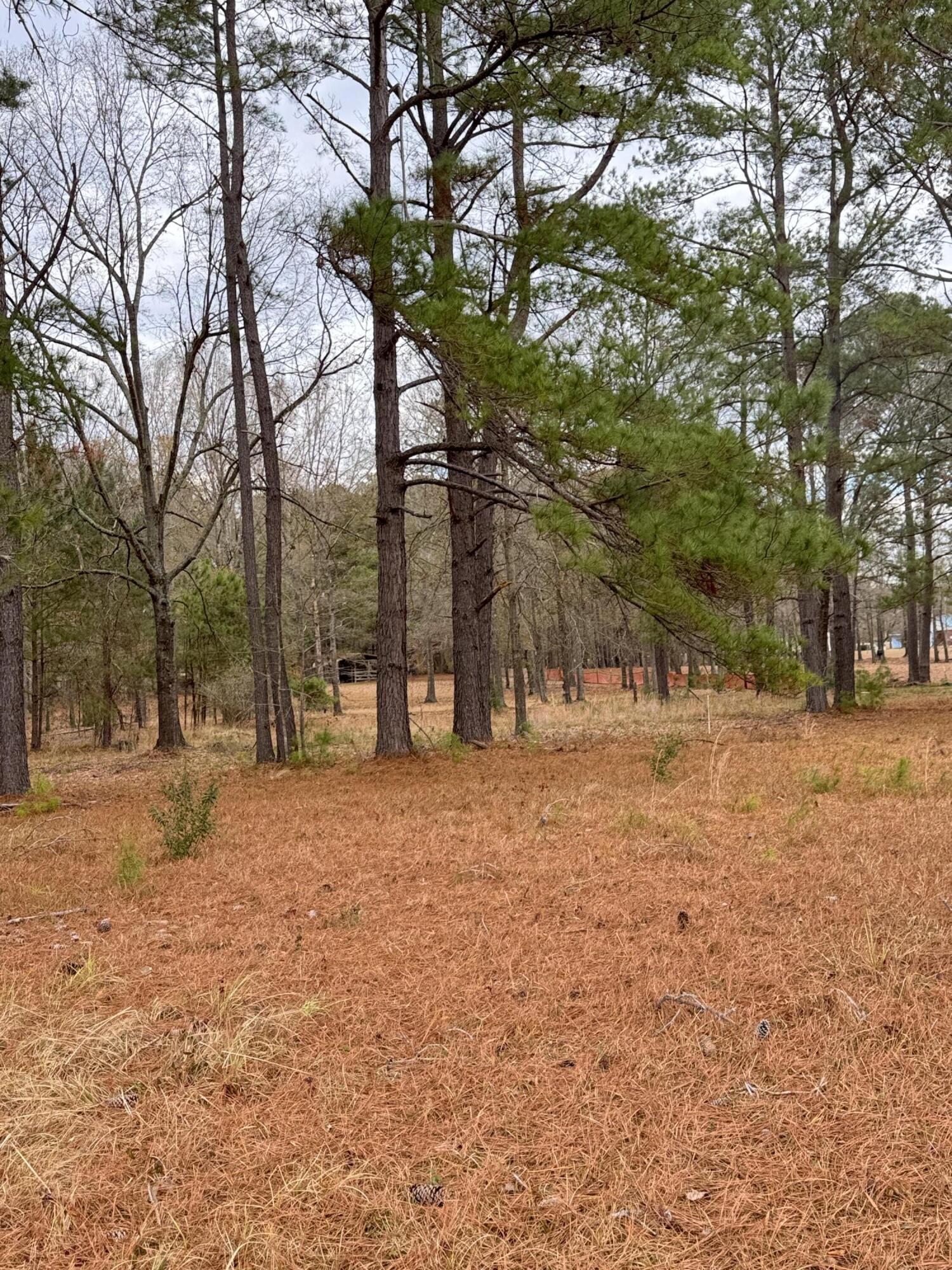 0 Lake Marion Shores Road Summerton, SC 29148 - Photo 10 of 12 IMG_8290