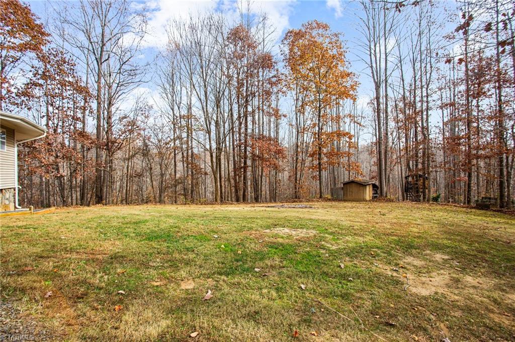1155 Ralph Joyce Road Sandy Ridge, NC 27046 - Photo 44 of 50 Gallery Image 44