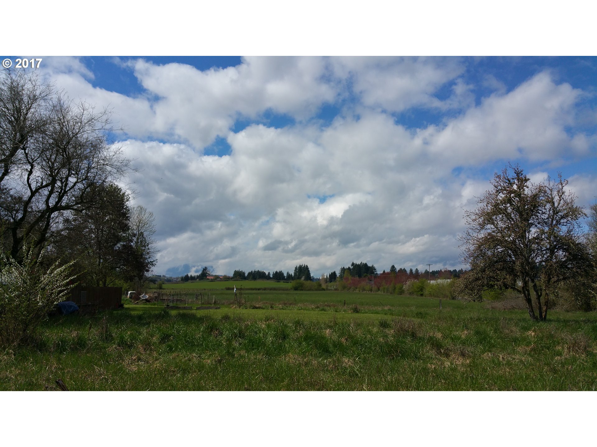 2020 Southwest 53rd Street Corvallis, OR 97333 - Photo 2 of 8 a black and white photo of a forest
