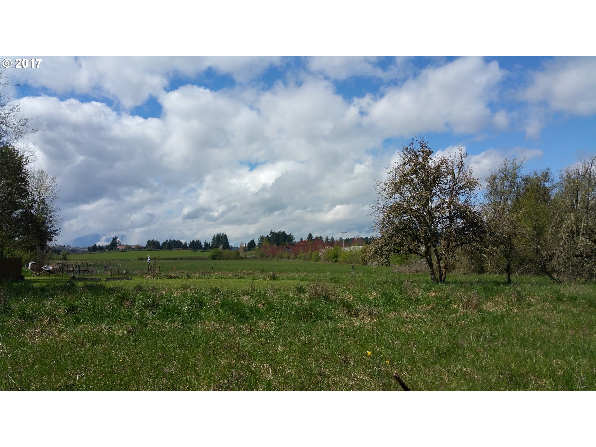 2020 Southwest 53rd Street Corvallis, OR 97333 - Photo 4 of 8 a black and white photo of a park