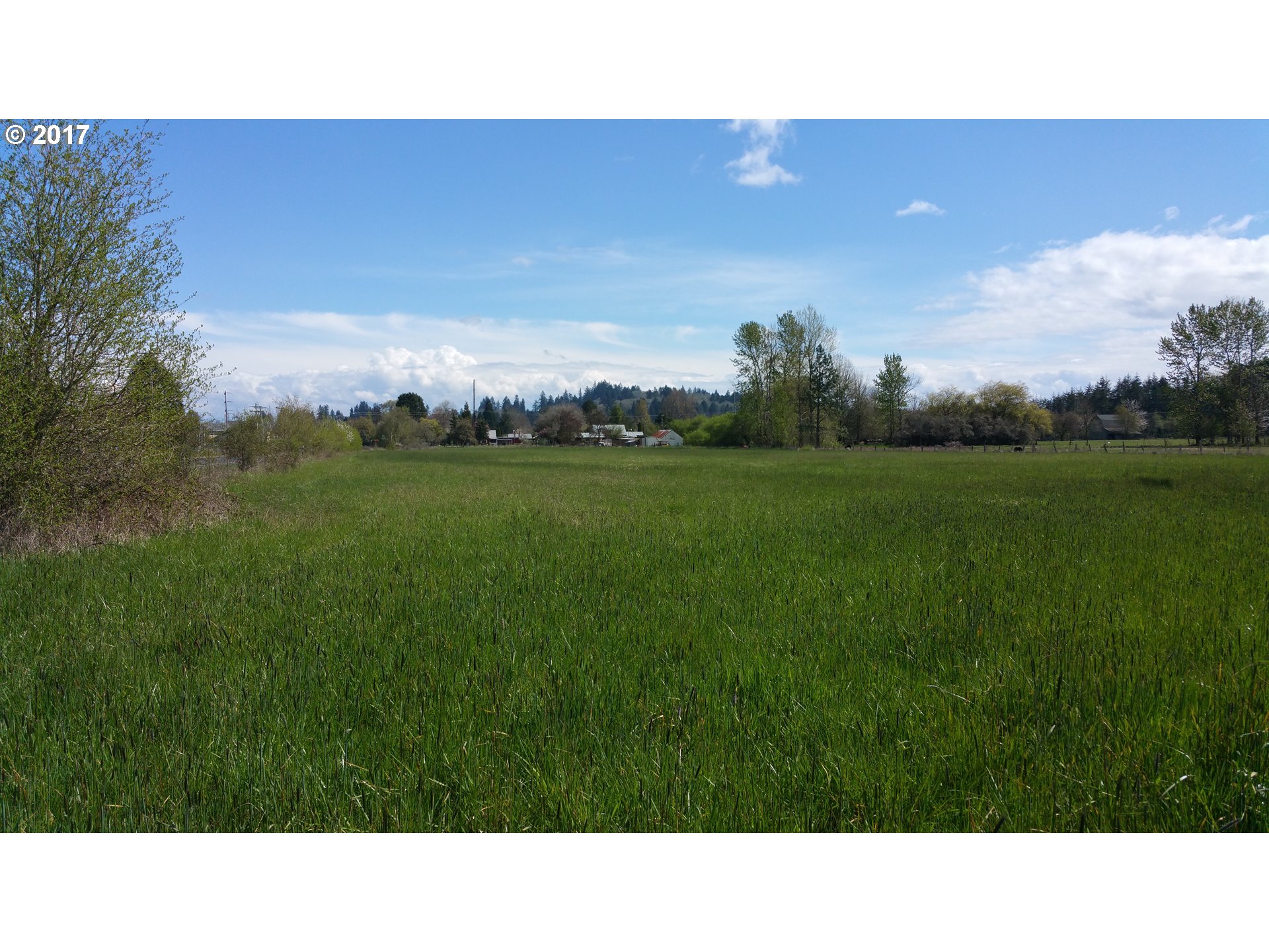 2020 Southwest 53rd Street Corvallis, OR 97333 - Photo 7 of 8 a open area with lots of trees