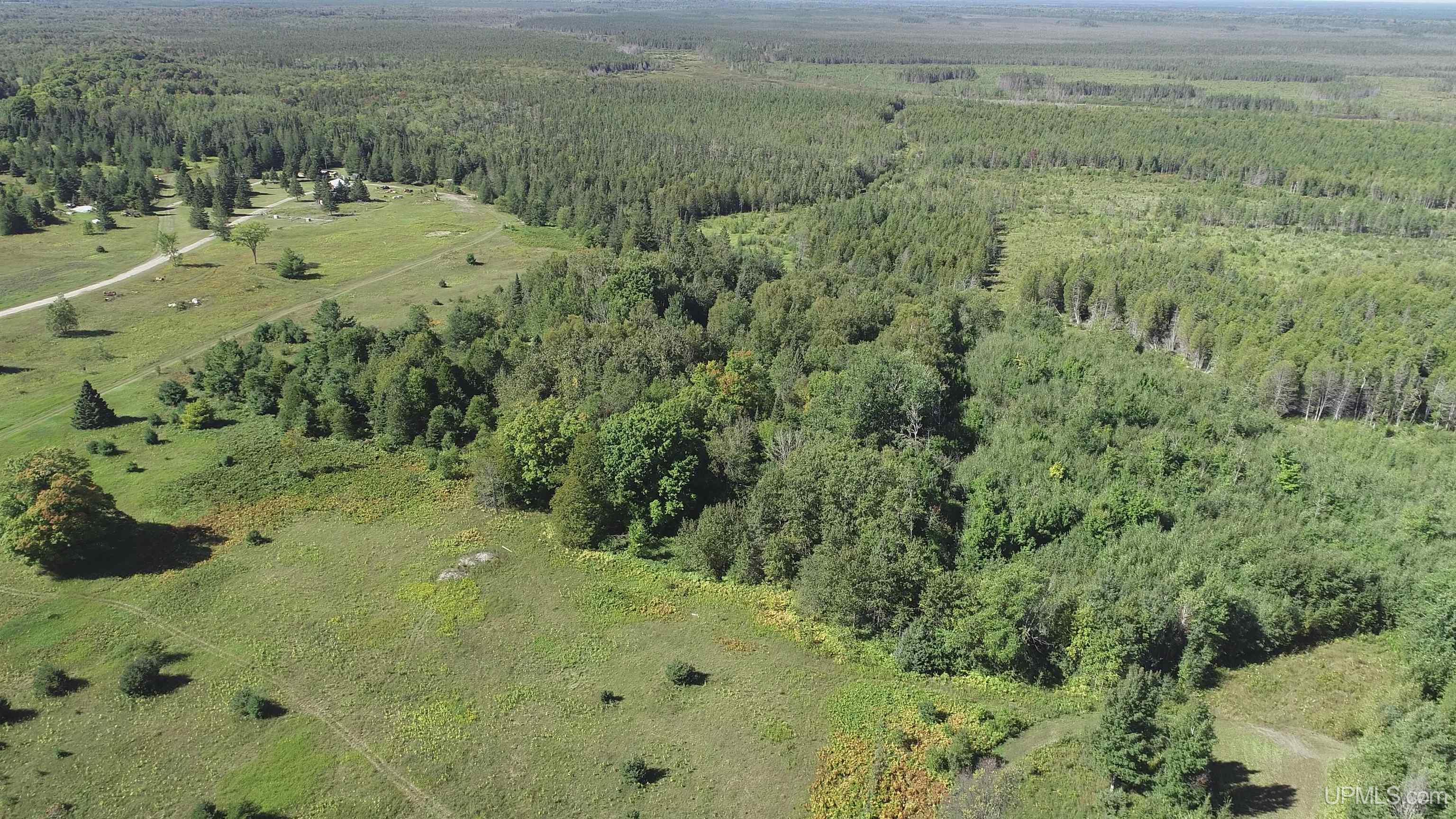 421-acres Lang Road Gulliver, MI 49840 - Photo 25 of 31 Gallery Image 25