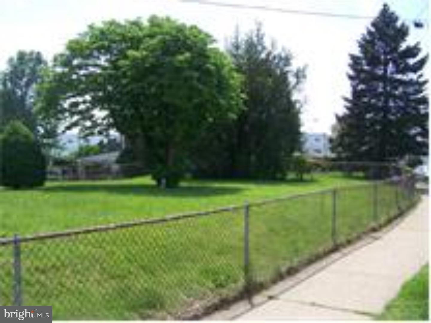 Front Yard