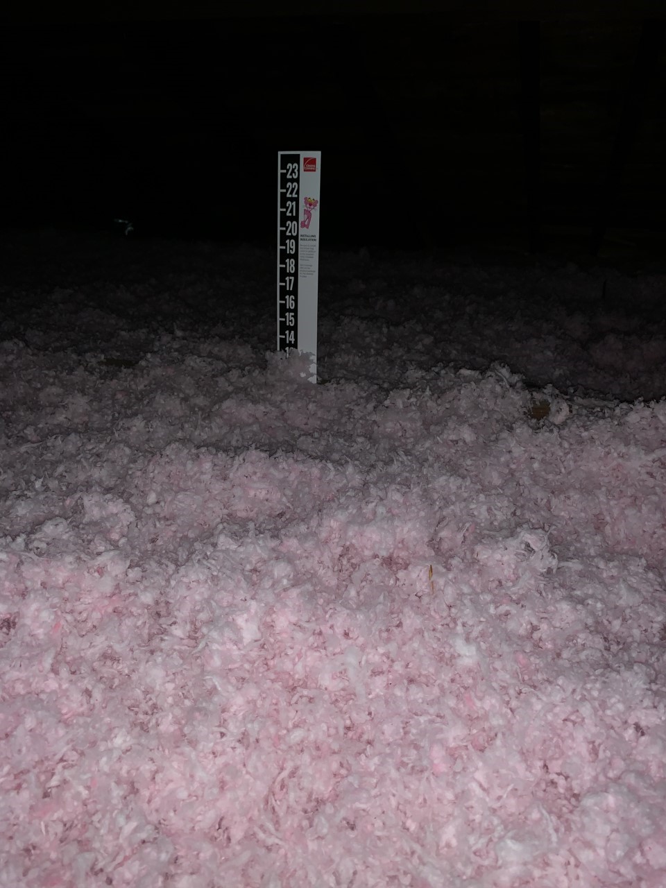 538 Glenvale Drive, Unit B Houston, TX 77060 - Photo 16 of 18 a close up of a tall trees in a yard