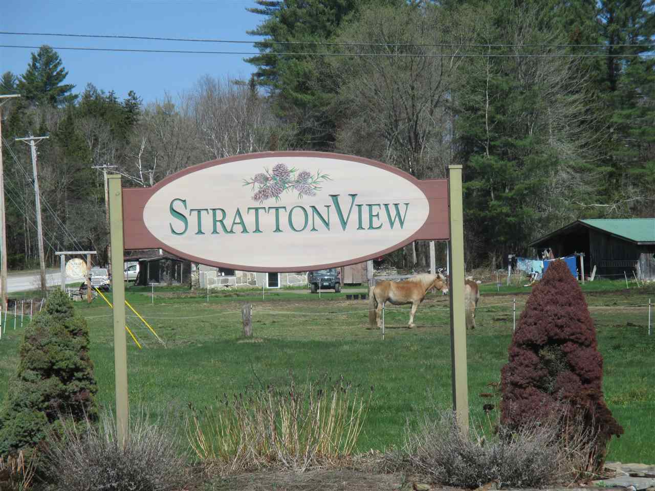 81 Stratton View Road Winhall, VT 05340 - Photo 1 of 12