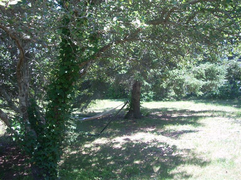 978 Old Queen Anne Road Chatham, MA 02633 - Photo 21 of 21 Additional Photo