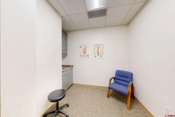 a room with furniture and a potted plant
