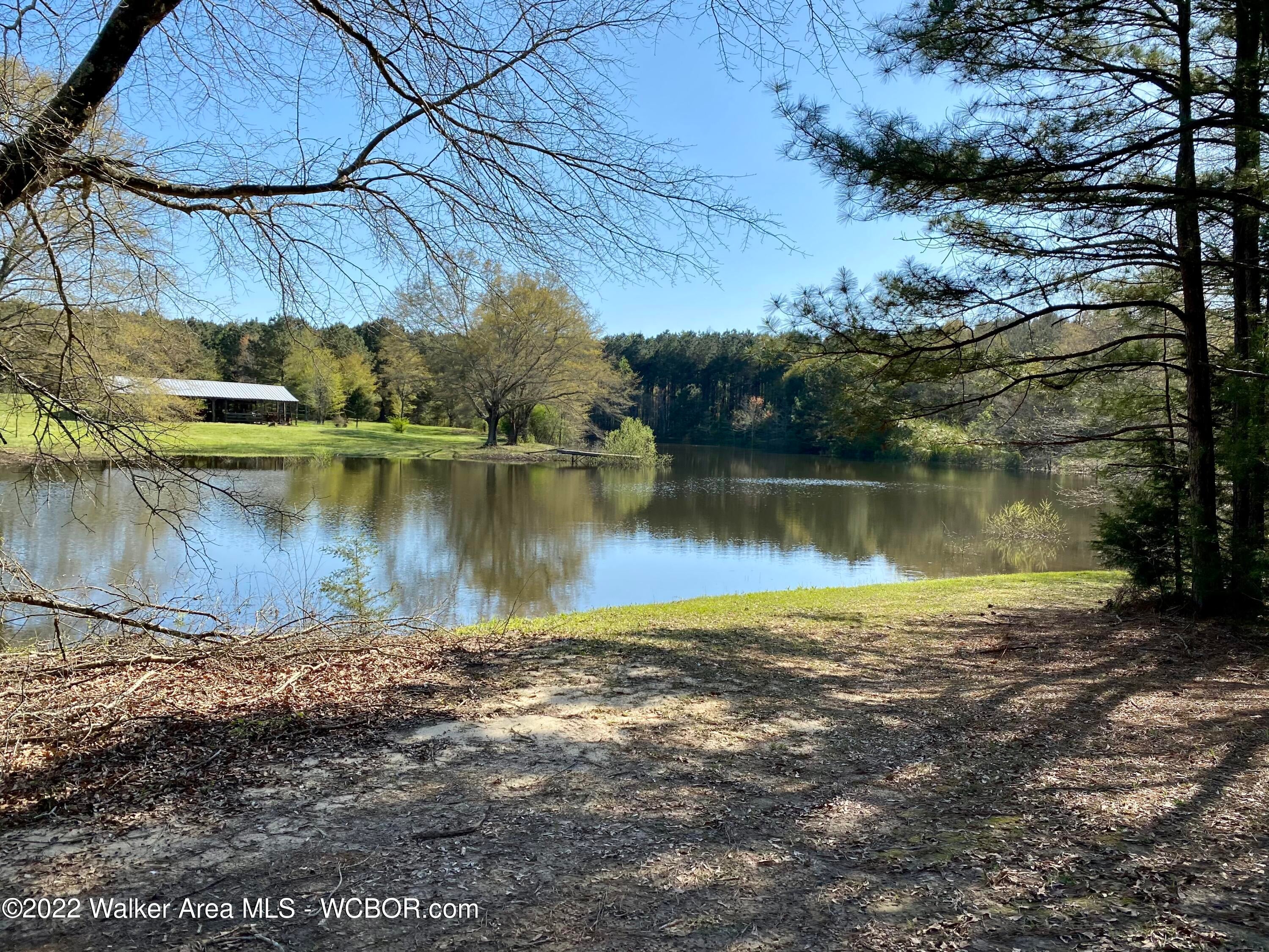 4677 Bird Farm Road Jasper, AL 35503 - Photo 18 of 26 Gallery Image 18