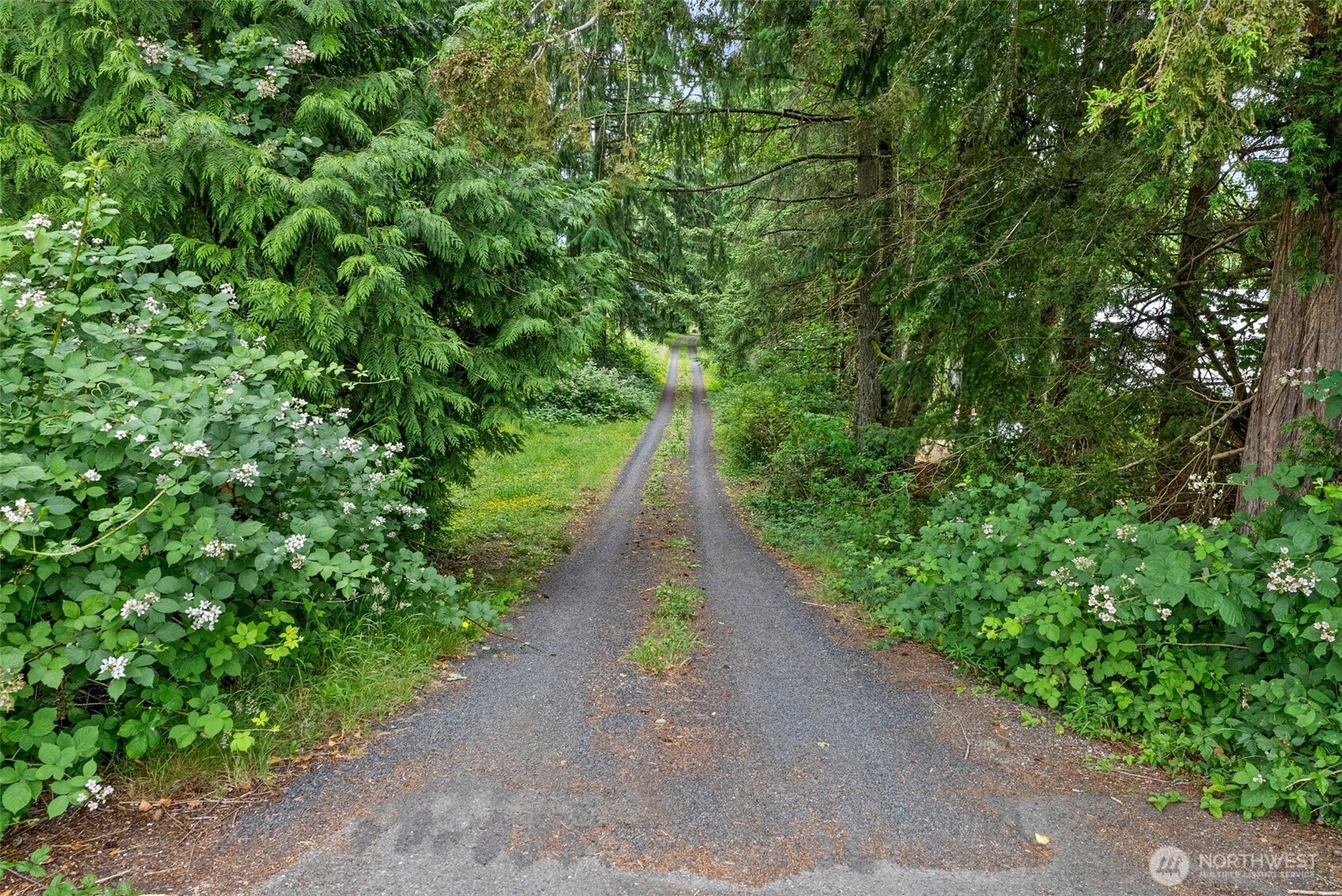 213 Sommerville Road Chehalis, WA 98532 - Photo 19 of 33