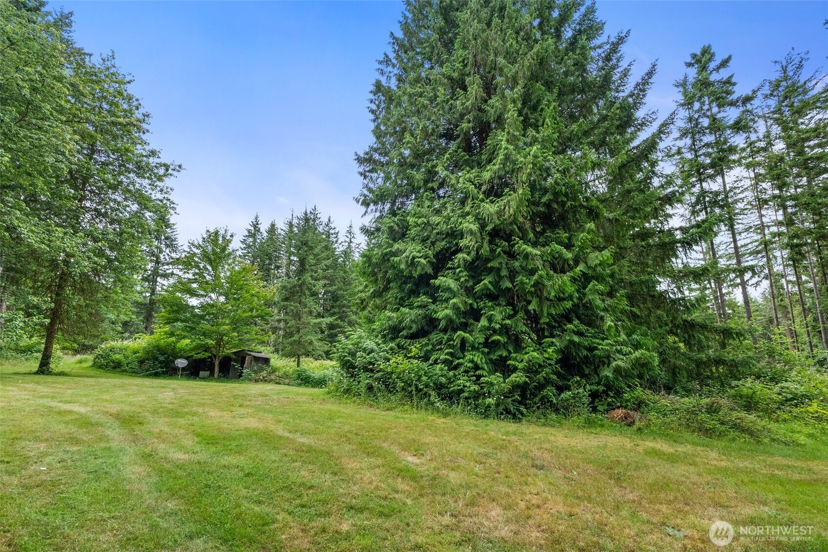 213 Sommerville Road Chehalis, WA 98532 - Photo 22 of 33