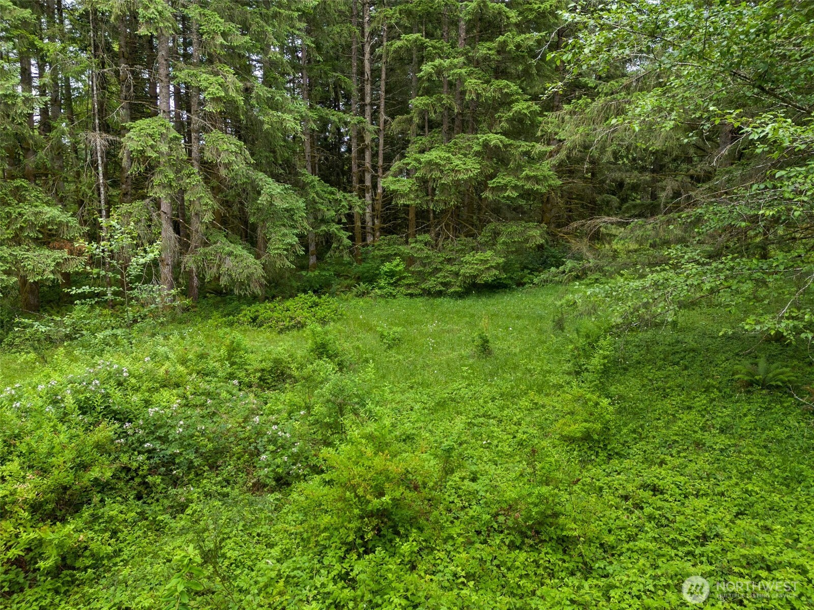 213 Sommerville Road Chehalis, WA 98532 - Photo 30 of 33