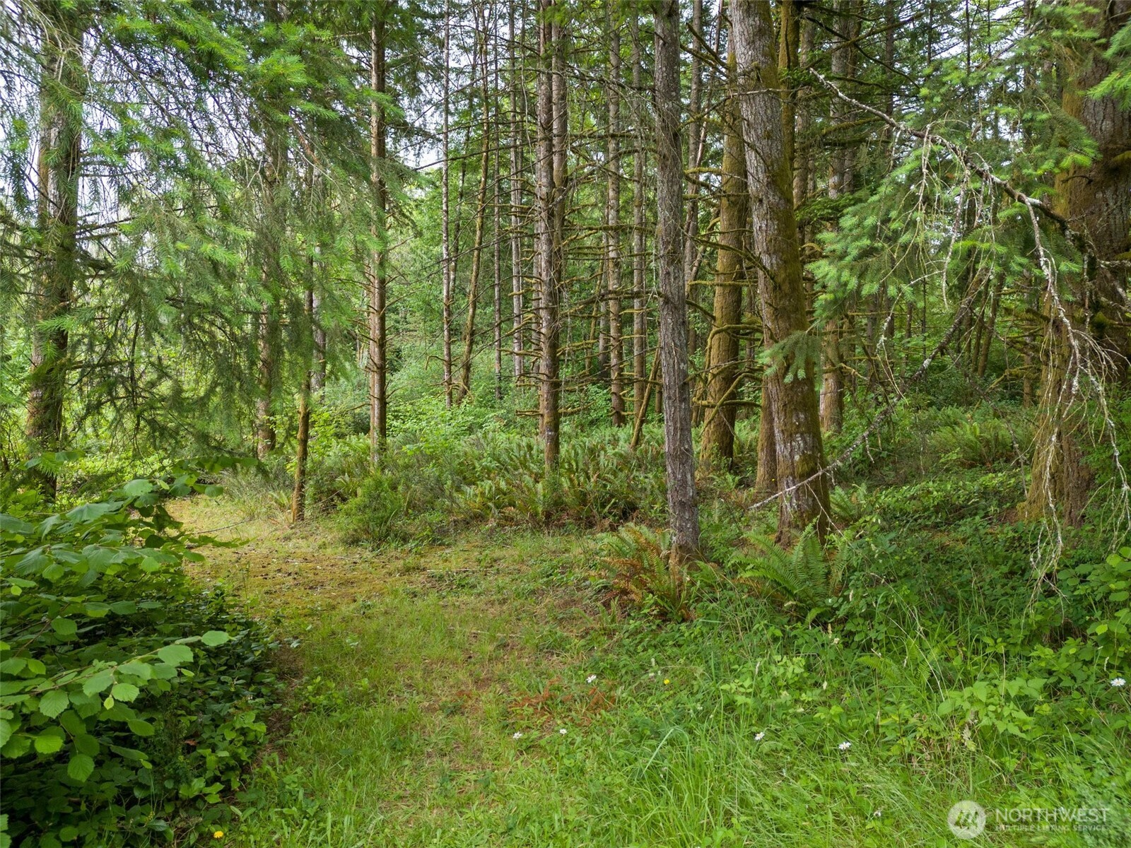 213 Sommerville Road Chehalis, WA 98532 - Photo 31 of 33