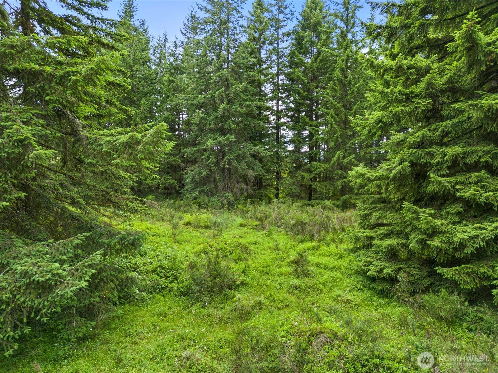 213 Sommerville Road Chehalis, WA 98532 - Photo 32 of 33