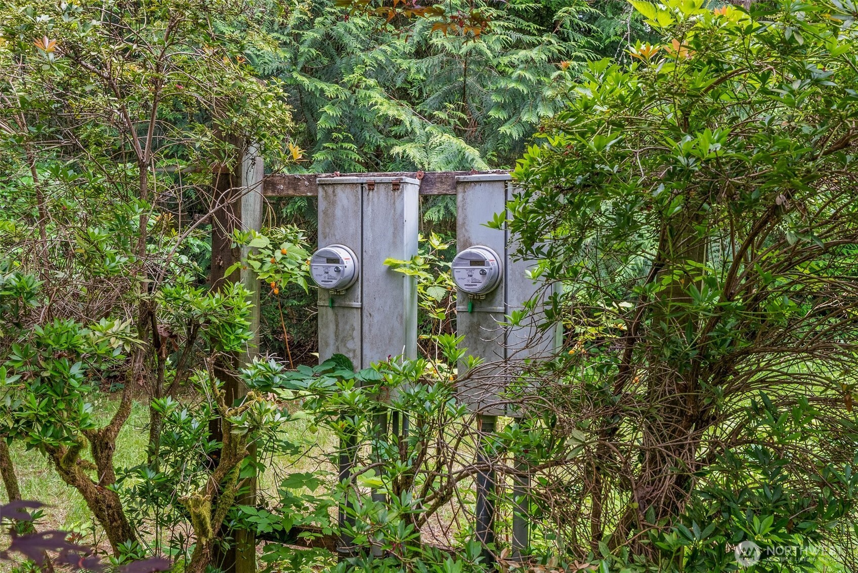 213 Sommerville Road Chehalis, WA 98532 - Photo 33 of 33