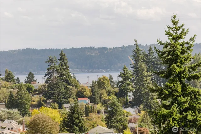 a view of a lake with a mountain in the background