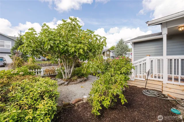 a view of a garden with pathway