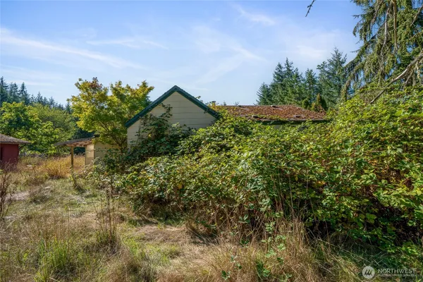 a view of a garden