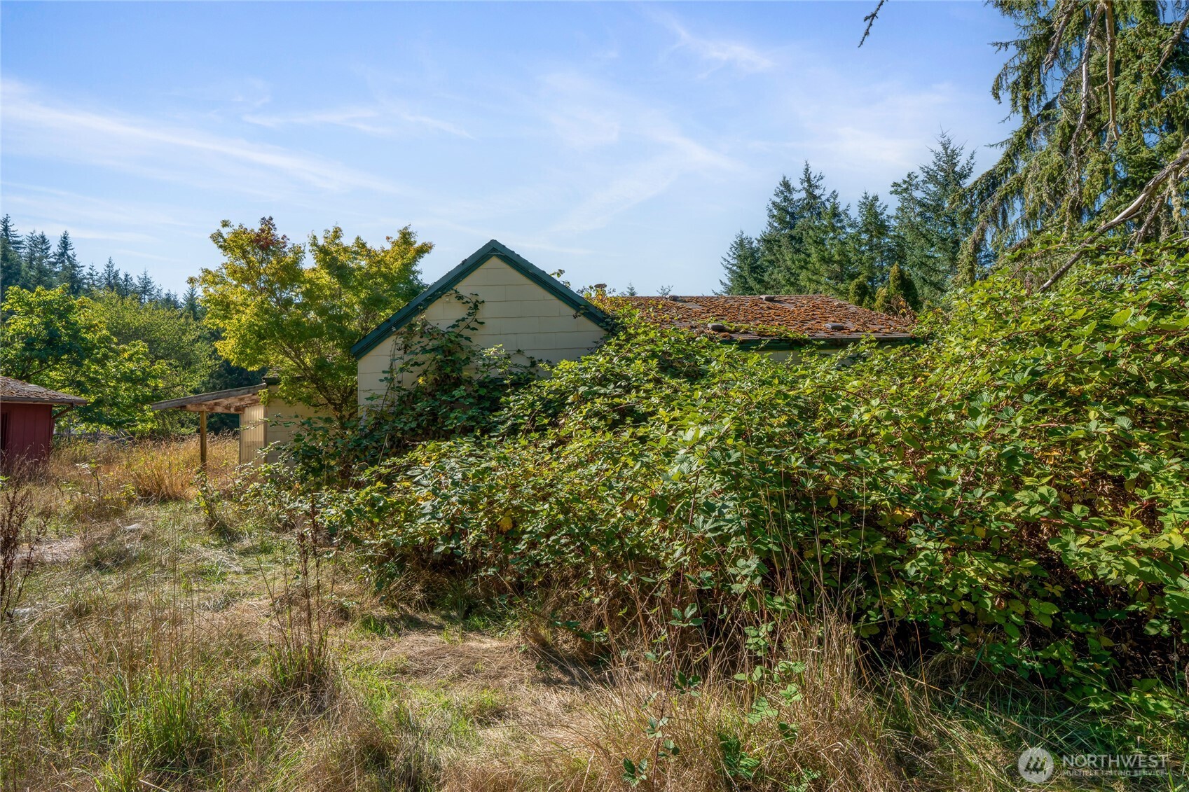 36716 Eatonville Cutoff Road East Eatonville, WA 98328 - Photo 1 of 37 a view of a garden