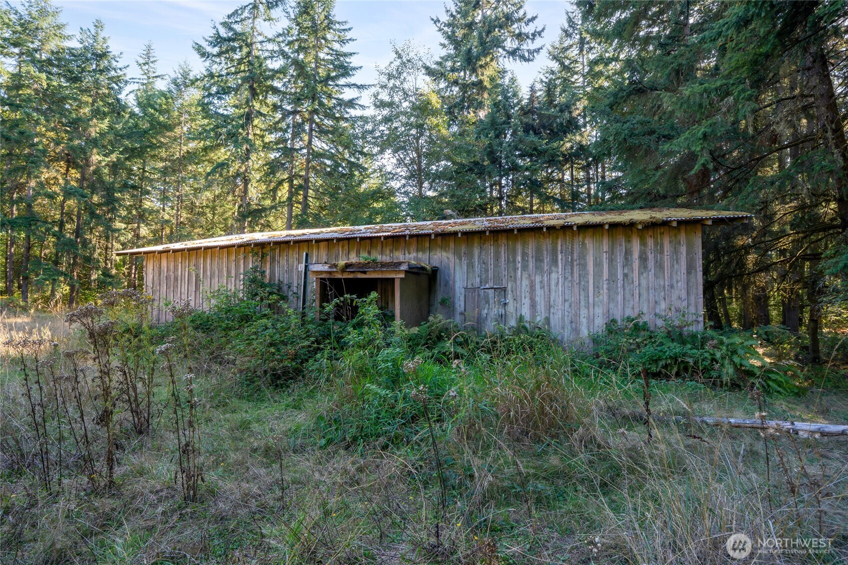36716 Eatonville Cutoff Road East Eatonville, WA 98328 - Photo 15 of 37 a view of a house with a yard